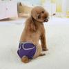 Couches Lavables pour Chien Pantalon Physiologique Pantalon pour Chiot Femelle Short Sous-vêtement Coton Chien Femelle Diaper Culotte Vêtements Chien Chat
