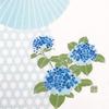 Dyeing Anbo Hand Towel and Light Authentic Made In 35cm X 100cm "Umbrella Hydrangea, Blue" Dyed, 100% Cotton, Tokuoka, Japan,