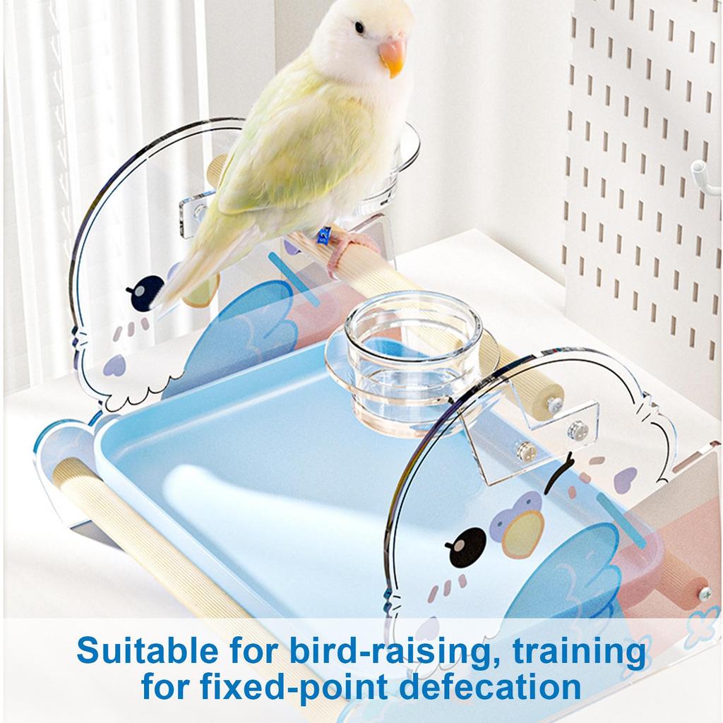 Bird Stand Parrot Perch Training Play Stand Pet Animals Taming Acrylic Non-Slip Equipment for Finch Parakeet Conure Cockatiel