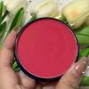 Pure White Eyeshadow: Matte Highlighter for Under-Eye Brightening and Inner Corner Highlighting - Perfect for Beginners.