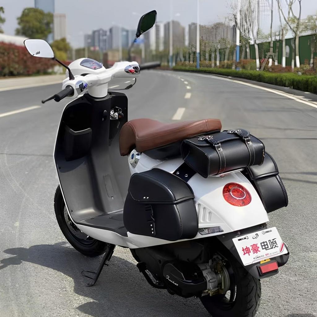 MIMIA Motorcycle Side Set of Touring Waterproof Bags for and Small Items Set of Bags, 2, Saddlebags, Bags, Tools, Wallets, (Black, 2)