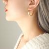 Trendy Minimalist Gold-Plated Titanium Hoop Earrings - Autumn/Winter Style F328