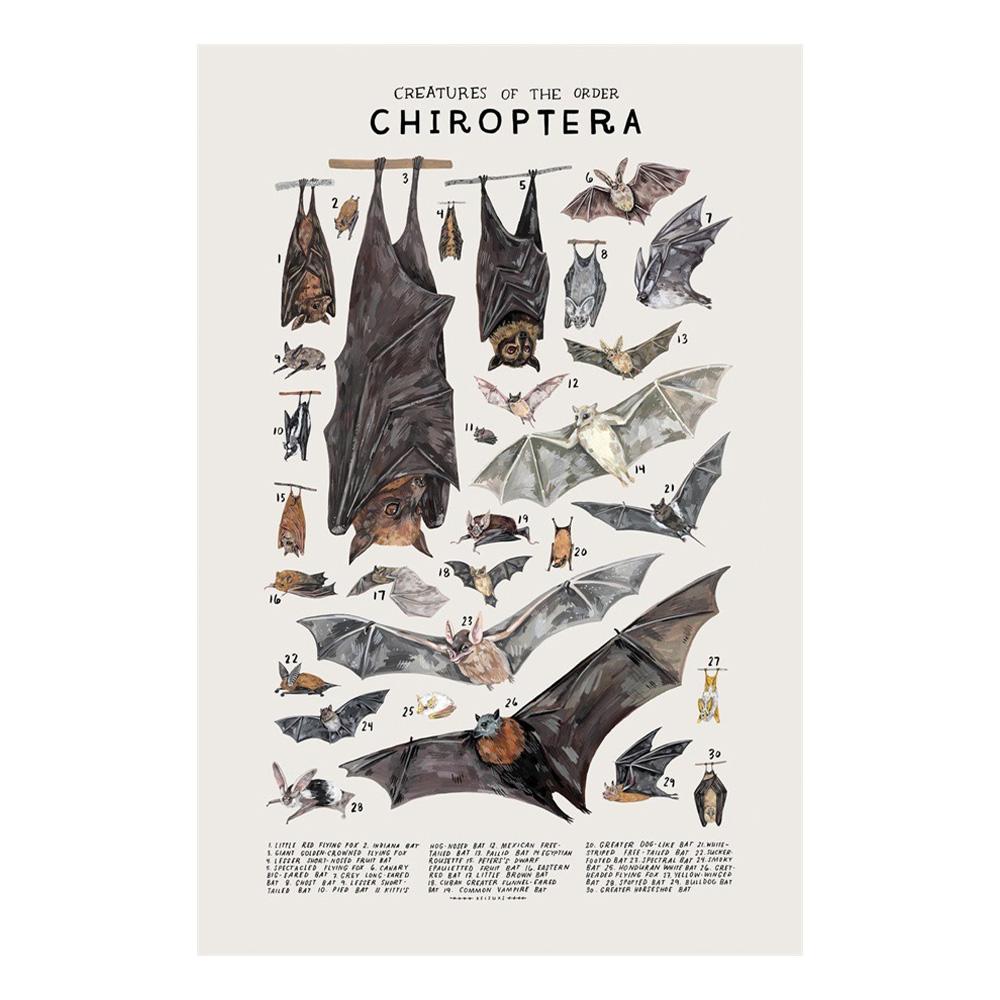 Abstract Marine Organisms Jellyfish Whale Squid Fishes Posters Canvas Painting and Prints Wall Art Picture for Room Home Decor