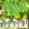 100pcs Bunch Protection Bag 30x20cm/10x15cm Grape Fruit Organza Bag With Drawstring Gives Total Prot 25-26