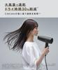 SALONIA Speedy Ion Hair High Fast Negative Ion Hair Black Dryer, Airflow, Drying, Lightweight, Dryer, SL-013AB,