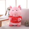 Hugging Heart Pig Plush Toy Cartoon Soft Filling Doll Couple Confession Gift