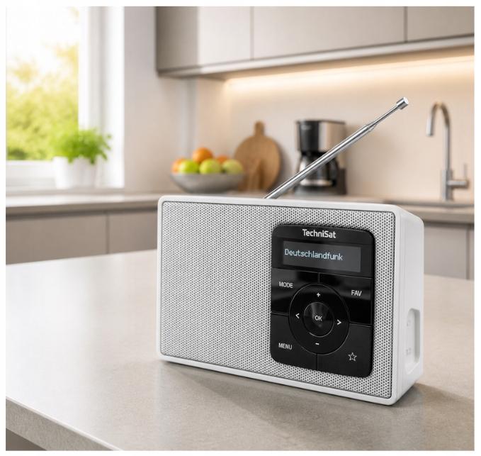 DAB+, FM TechniSat DIGITRADIO 2 mains-powered/battery-powered radio