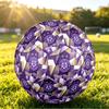 Personalized Size 5 Football Austria Wien FC Pattern Outdoor Game Sports Ball Gift