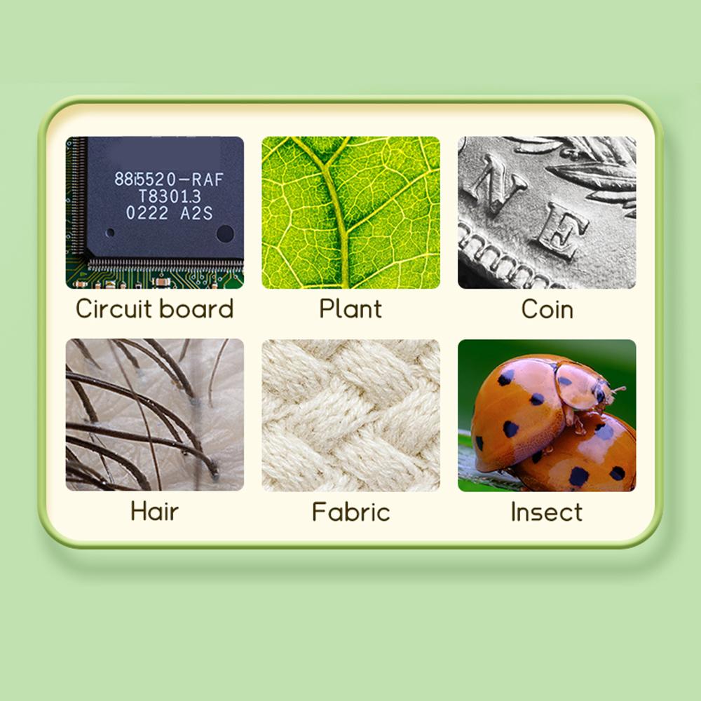 Lupe mit Licht Kindermikroskop mit 2 " " Zoll Bildschirm 1000-fache Vergrößerung Mini Handheld