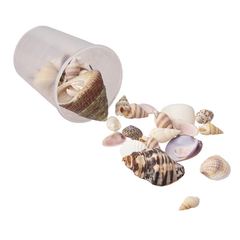 1 Sada DIY Doplňků DIY Šperky Materiály Akvarijní Krajina Miniaturní Mušle Mini Mušle Oceánský Styl Různé