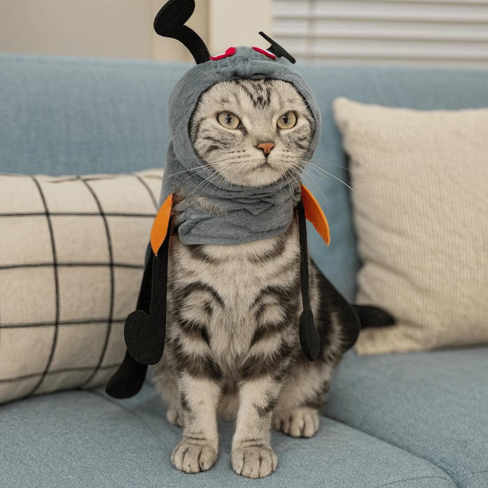 Simulation Dog Transformation Costume Warm Pet Ant Headgear Cat Cosplay Clothes  Cosplay Events