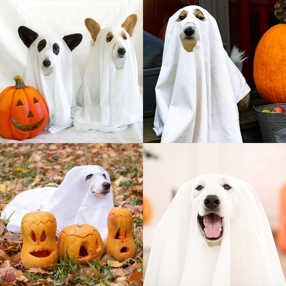 Halloween Party Ghost Costume Props Decorate Halloween Ghost Costume Dog Cosplay Cape