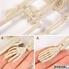 Mode della Casa Skeleton Figure 36cm Toy Skeleton Skull Interior Horror Halloween Goods (Regular Item)