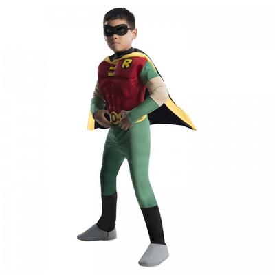 Boys Deluxe Robin Costume