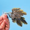 Peixes e animais aquáticos – Decoração de aquário