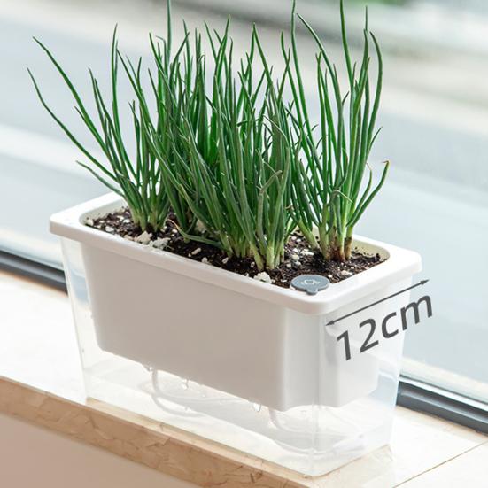 Self Watering Planter Plastic Flowerpot with Reservoir Easy Refill Plant Pot with Wick Ropes for Succulents Scallions Balcony Windowsill Gardening