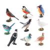 Feather Animal Model Simulated Magpie Pigeon Cuckoo Blue Wren Rusty-breasted Tit Solid Model Ornament PVC Bird Statue Figurine Desktop Decoration