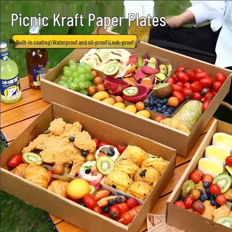 Disposable Kraft Paper Picnic & Takeout Boxes