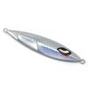 Reef Slow Fall Type D Metal Jig 100g Lure Jig