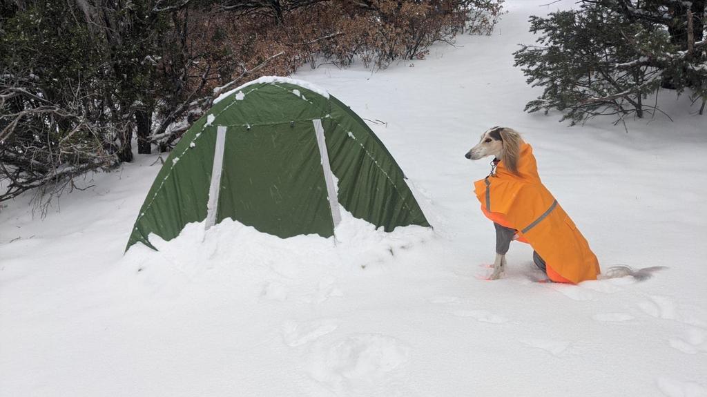 Clostnature Tent for 2 People Camping Winter Tent Lightweight Simple Tent Double Layer Compact Dome Tent for 2 People Water Pressure 5000MM Waterproof