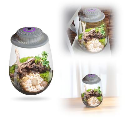 Fern Moss Micro-Landscape Grow Light with Timer Desktop Miniature Plant Light 6500K Plant Grow Light for Indoor Plant Growth