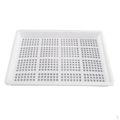 Tray Ing Trays Plastic Material Gardening Supplies