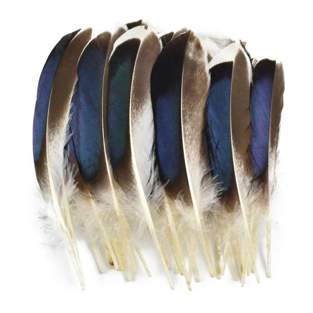 40/48Pcs Assorted Natural Feathers Bulk 6 Styles Peacock Feathers Pheasant Plumage  DIY Crafts