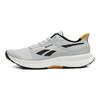 Reebok Floatride Energy 6 'Moon Grey Heritage Gold' Sneakers 100201164