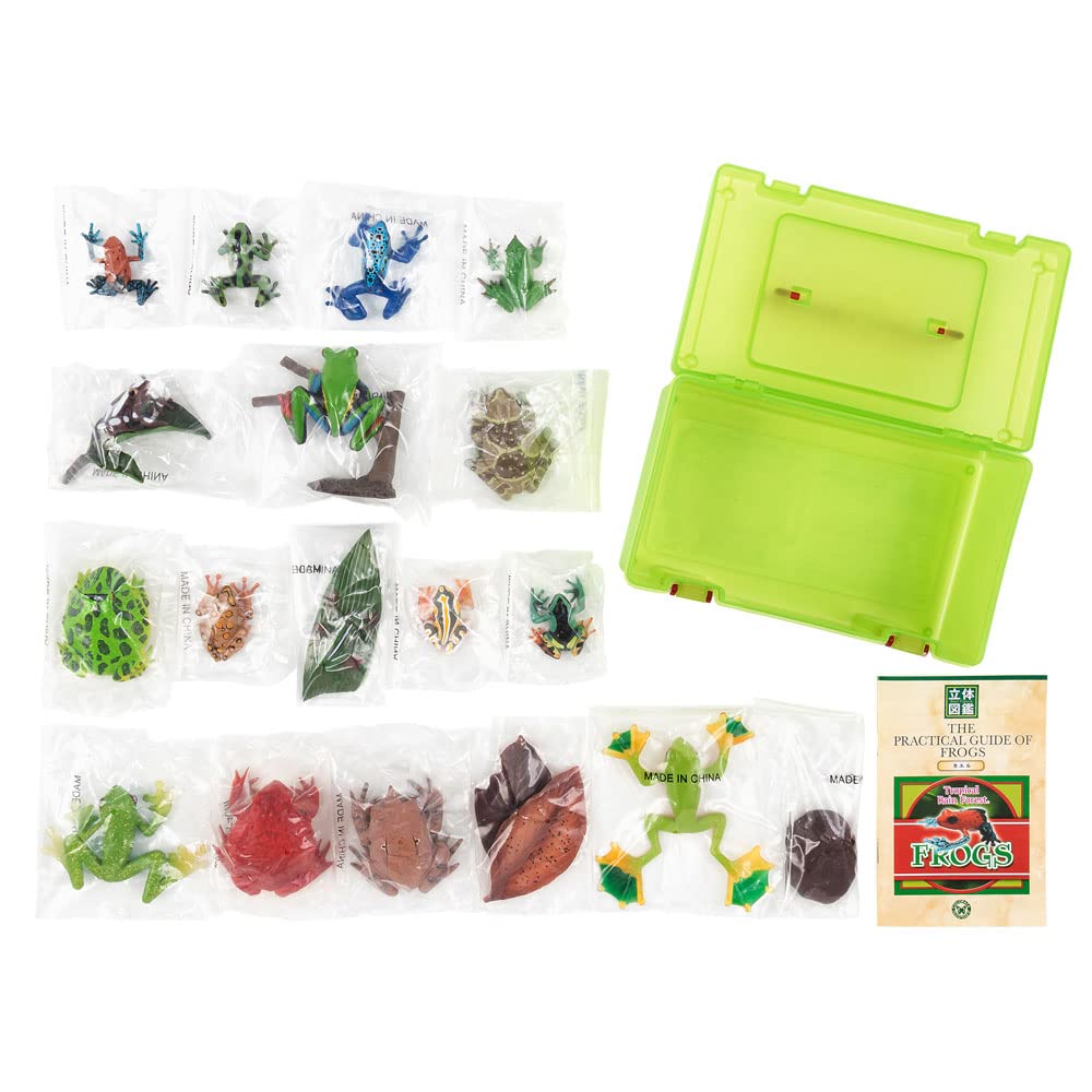 Calorata Frog 3D Encyclopedia Frogs with Realistic Figures Birthday Gift Sanitation Law Figure Box Christmas Gift (16 Instructions) (Educational Toys)