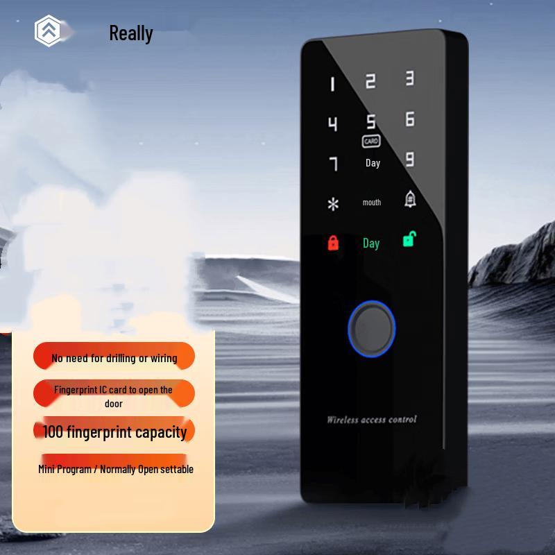 Realand ZD-W203 Wireless Fingerprint & Card Access Control Kit CN plug (adapter included)
