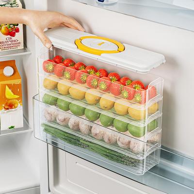 Scatola per Ravioli da Cucina Contenitore per Alimenti Scatola per Conservazione in Frigorifero Mantenere Fresco Organizzatore Scatola Trasparente Multi-Strato per Ravioli