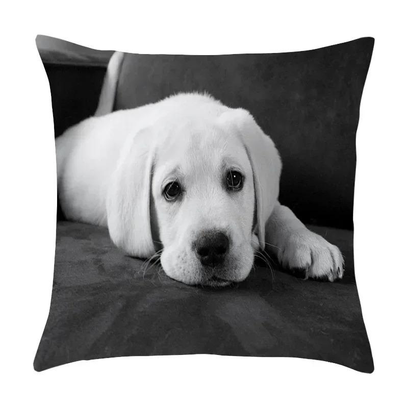 Cute Pet Puppy Black and White Art Photo Office Sofa Cushion Pillowcase