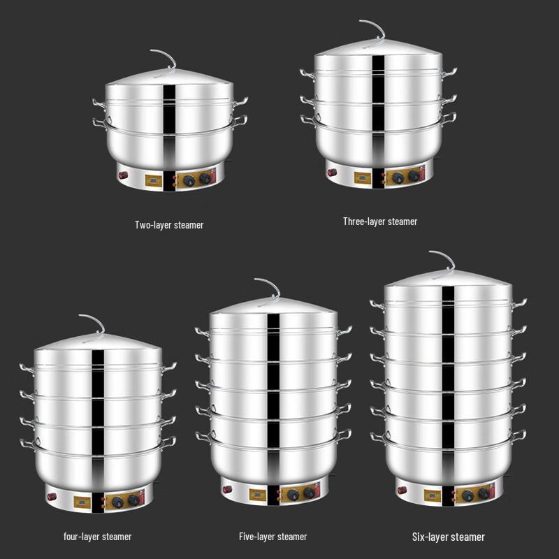 Naijiang 304 Stainless Steel Electric Steamer