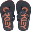 Oakley College Flip-flops