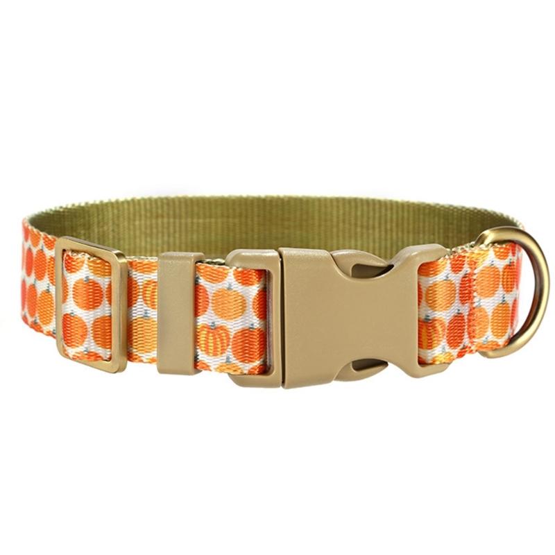 Dog Lovely Pumpkin Collar Leash Comfortable Dog Collar Leash for Medium Dogs Leash Harvest Theme Leash
