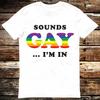Sounds Gay I'm In Pride Proud LGBT Q+ Lesbian Feminist T  Shirt 6276