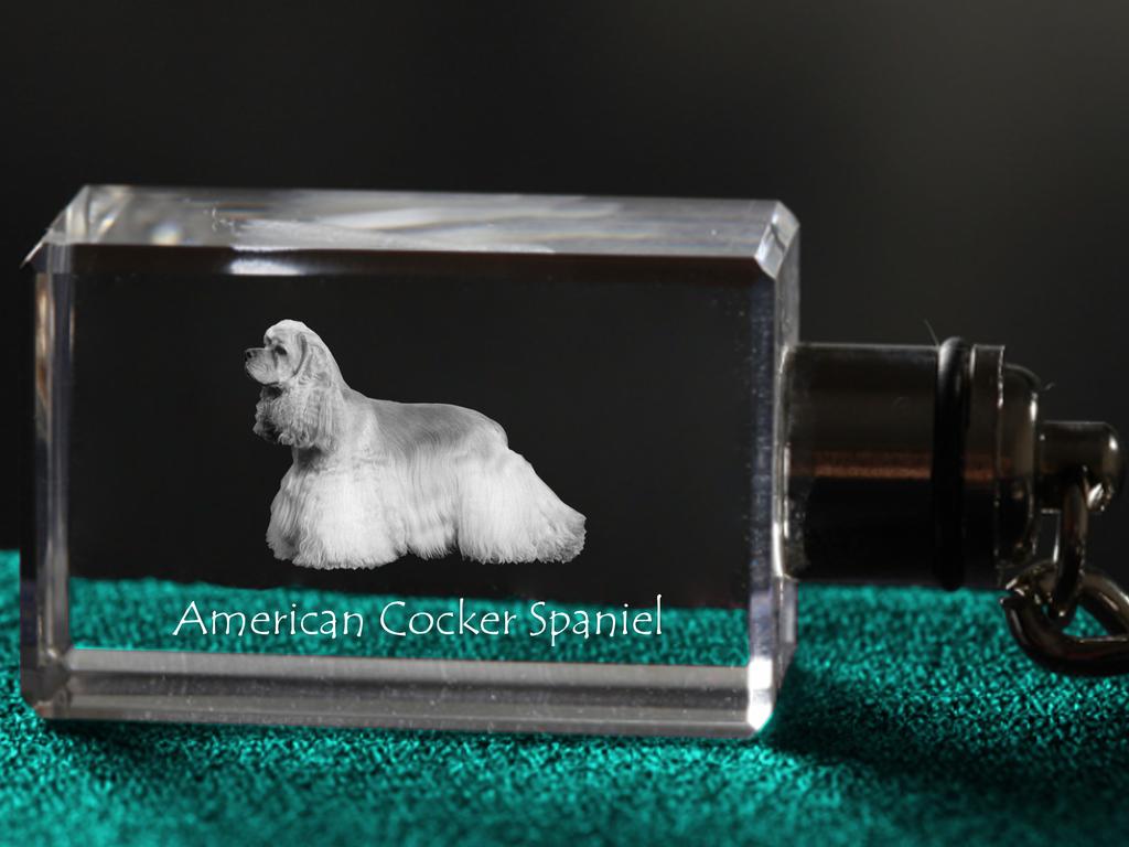 American Cocker Spaniel, Merry Cocker - Crystal key ring with dog photo, illuminated key ring, unique gift by Art-Dog brand