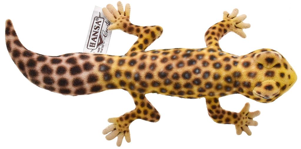 BH8140 HANSA Leopard Gecko 26