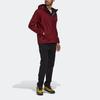 Adidas Terrex Gtx Paclite J Logo Printed Hooded Jacket Men Jacket Brick-Red HH9183