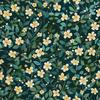 Outdoor Dekostoffe Oxford - Motiv Blumen I Dx5578