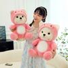 Transforming Doll Bear Plush Toy Sleeping Pillow Girl Child Gift Decoration