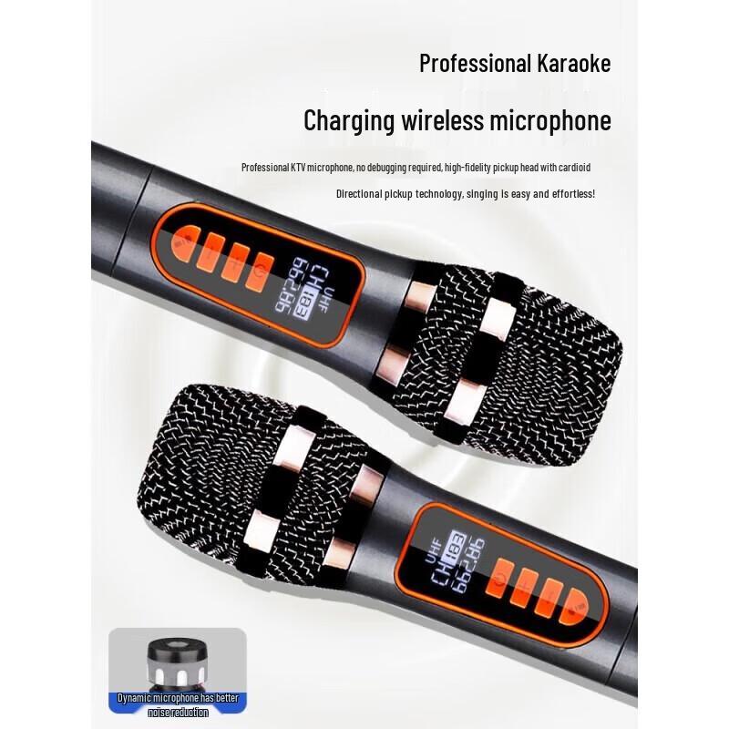 KONKA D160 Portable Outdoor Karaoke Speaker