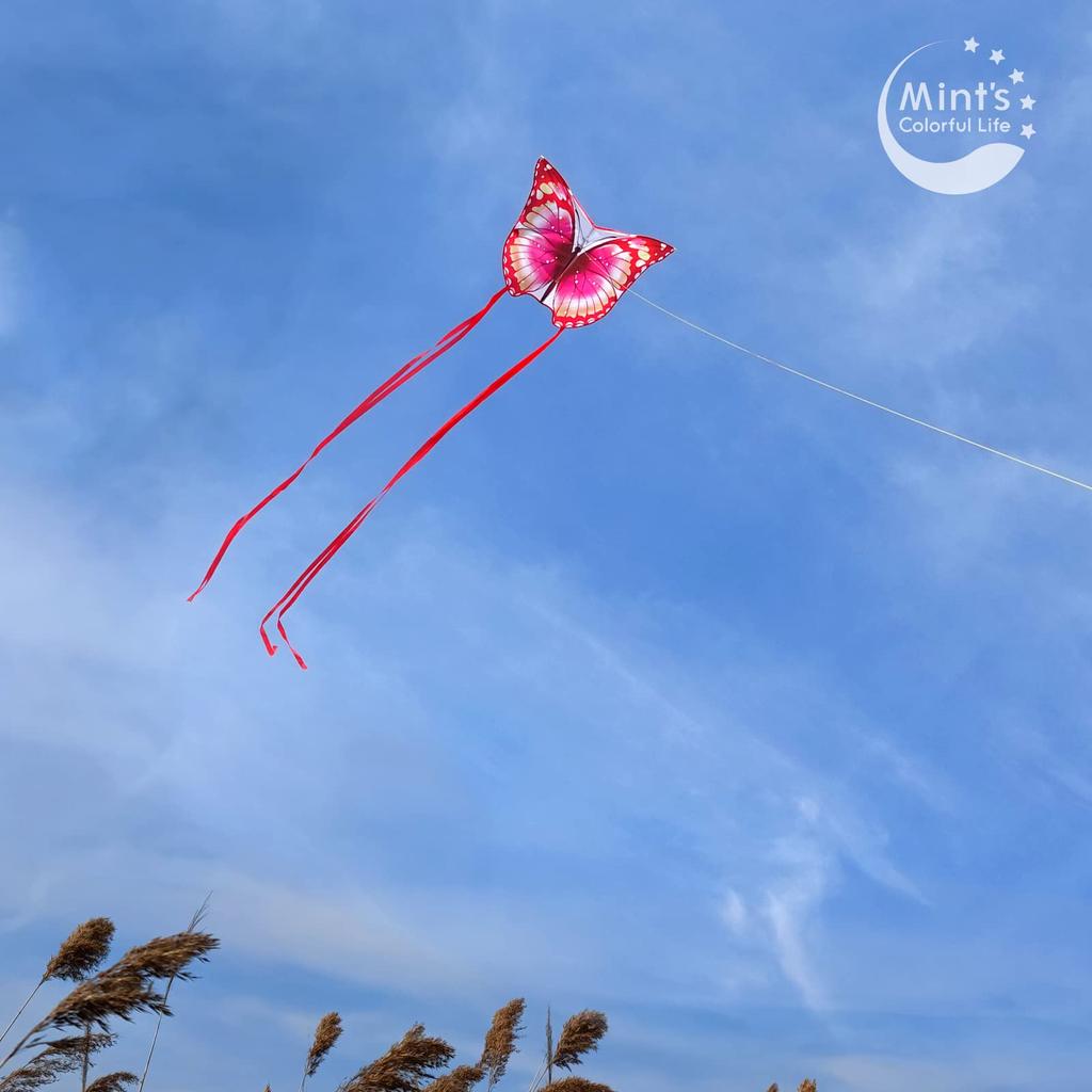 Kite, Butterfly Kite, Single Kite, Kite for Children, Adults and Beginners, Paper Kite, Kite Flying, Flies in Light Breeze