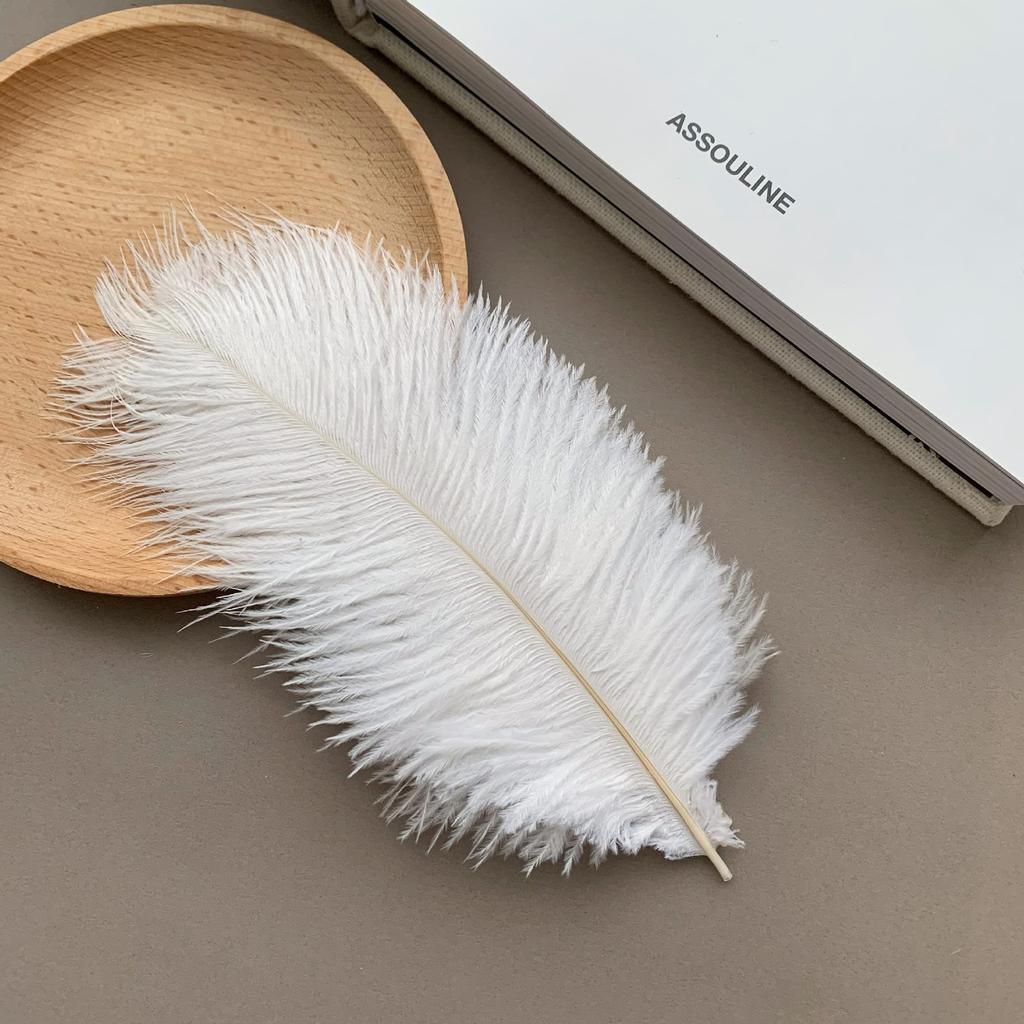 Color ostrich hair 15-20CM ostrich feather Internet celebrity photo background wall feather cake flower arrangement DIY decoration