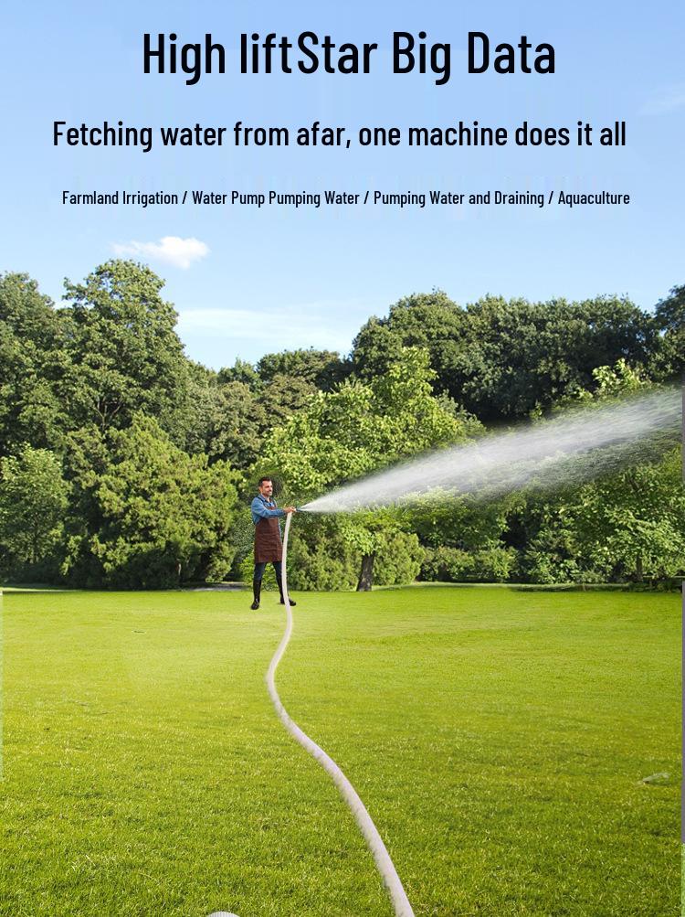 Tauchpumpe für Brunnen aus Edelstahl für Haushalt & Landwirtschaftliche Bewässerung, 220V, Hohe Förderhöhe