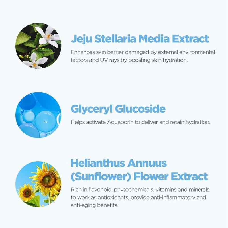 ROVECTIN - Aqua Soothing Sun Cream