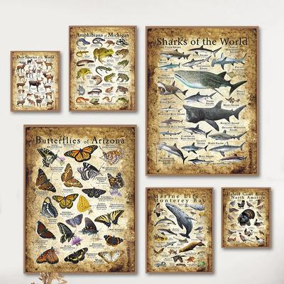 HD-Druck, Schmetterling, Frosch, Vögel, Hai, Meerestiere, Collagen, Poster, Leinwand, Gemälde, Vintage-Wandkunst, für Kinderzimmer, Heimdekoration