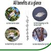 Reflective Spiral Anti-bird Repellent, Outdoor Protection for Balcony and Garden (set of 8)