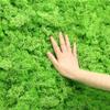 Home Ornaments Living Room Fake Flowers Eternal Moss Moss Artificial Plants Garden Decoration