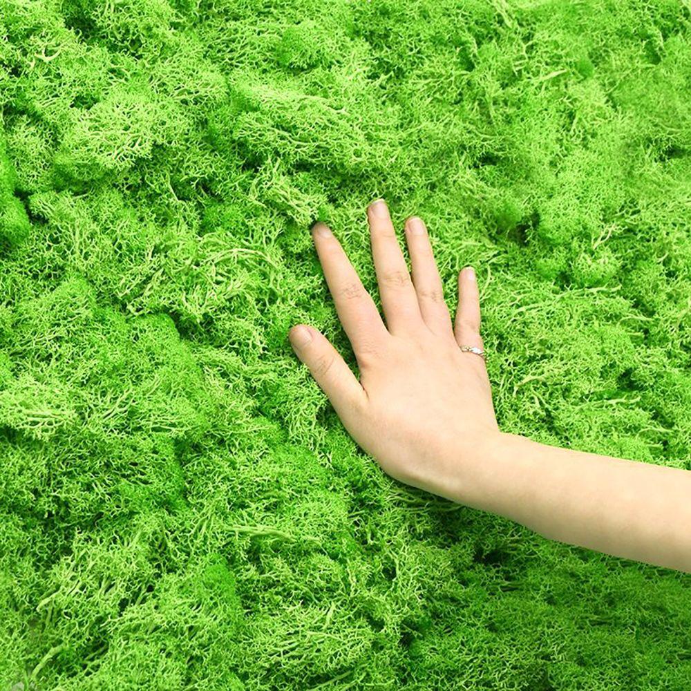 Home Ornaments Living Room Fake Flowers Eternal Moss Moss Artificial Plants Garden Decoration